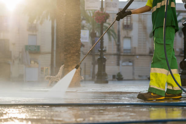 Best Roof Power Washing Services  in Dewitt, MI